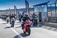 Lower Group Red Bikes